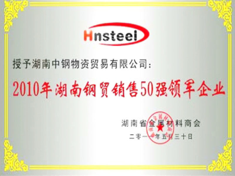 2010年湖南钢贸销售50强领军企业